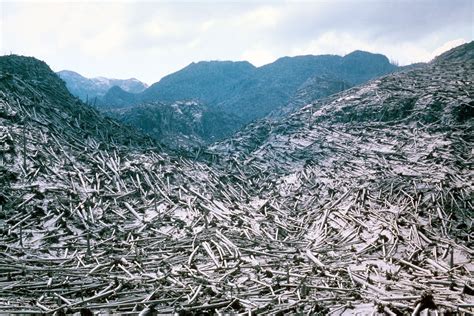 A Review Of The Mount St Helens Massive Eruption The Largest