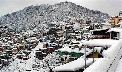 Snowfall Season In Shimla Brings The Winter Charm Already