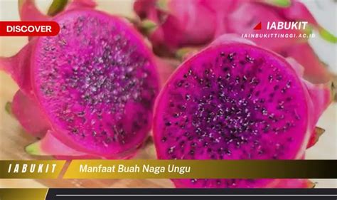 Ketahui Manfaat Buah Naga Ungu Yang Wajib Kamu Intip Discover