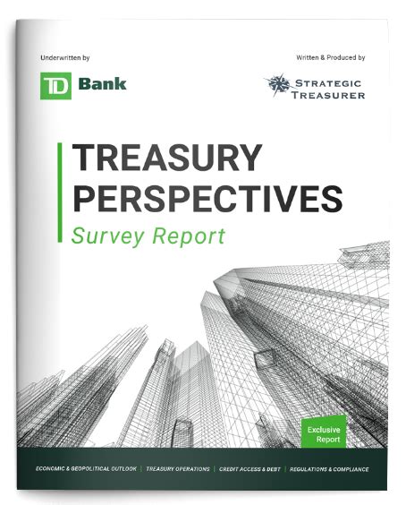 Survey Reports Infographics Strategic Treasurer