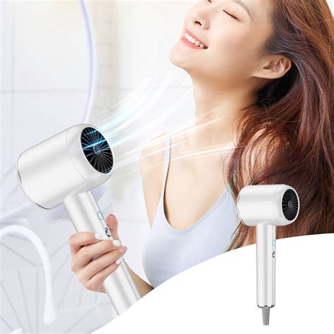 Negative Ionic Hair Dryer With Concentrator Expertise Portable Hair