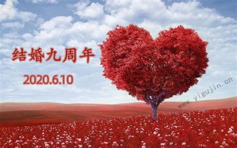 结婚9周年纪念日——一生一世执子手，不离不弃共白头 懿古今