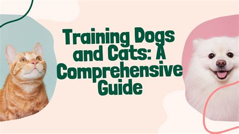 Training Dogs And Cats A Comprehensive Guide Youtube