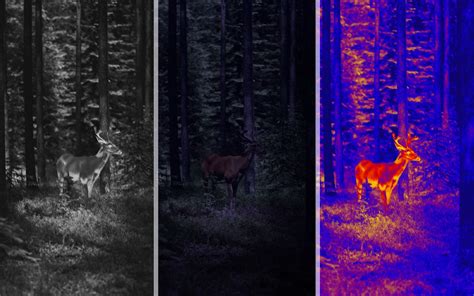 An Ultimate Guide To Thermal Cameras And Beyond Perfectprime