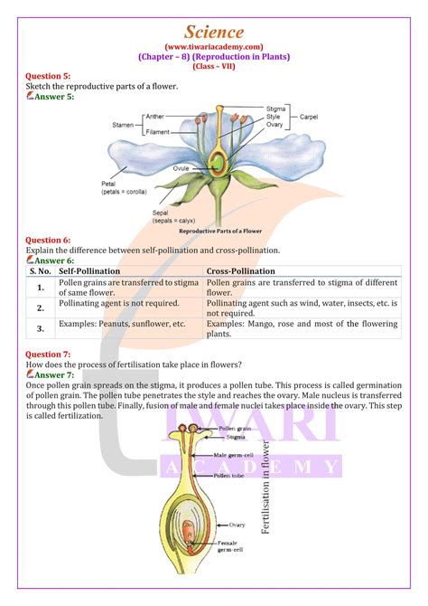 NCERT Solutions For Class 7 Science Chapter 8 Reproduction In Plants