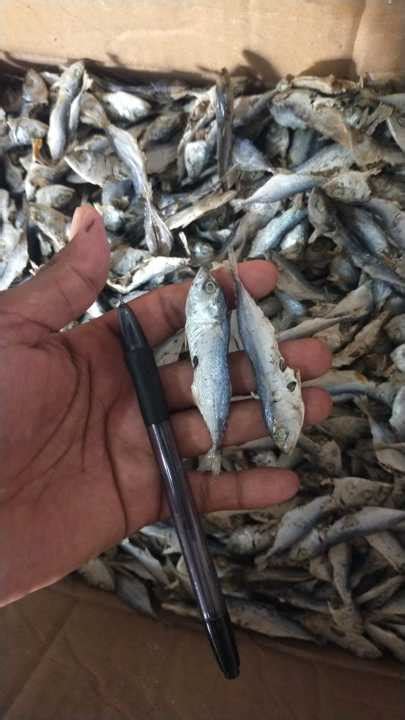 Ikan Asin Kembung Rebus Kenaren Rebus Murah 1kg Lazada Indonesia