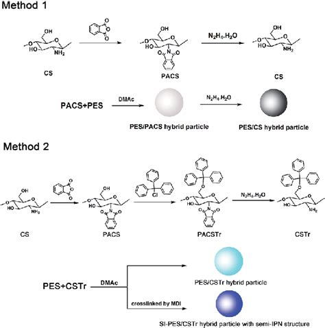 Scheme 1 The schematic illustration for preparing PES/CS, PES/CSTr and ...