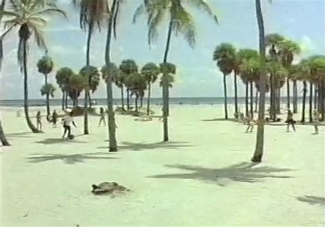 Bikini Beach Race 1992