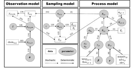 Directed Acyclic Graph Dag For Hierarchical Multi Population Download Scientific Diagram