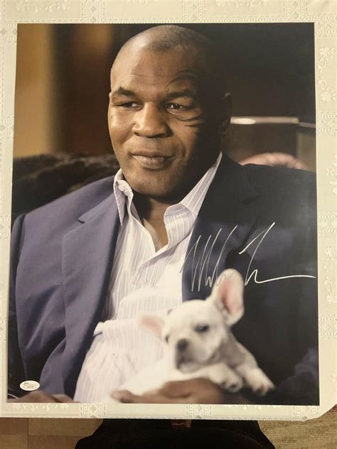 Mike Tyson 16x20 “the Hangover” Autographed Jsa Authenticated 2064645265