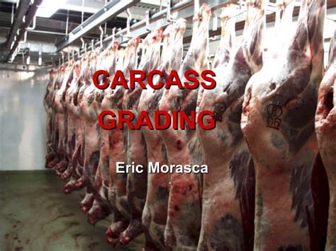 Carcass Grading Ppt