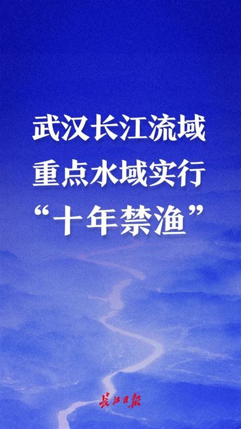 武汉长江流域重点水域实行“十年禁渔”！范围明确了 封面新闻