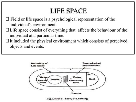 Kurt Lewins Field Theory