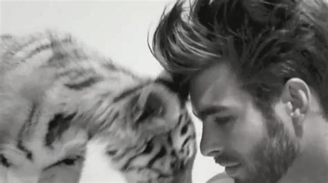 Hot Celebrity Guys With Cats PS Pets