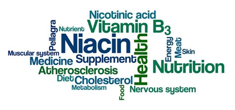 13 Vegan Foods High In Niacin Healthier Steps