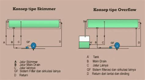 Kolam Renang Overflow Atau Skimmer Pilih Pool Mall