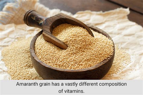 Amaranth For Health Nutrition Benefits How To Consume