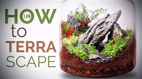 How To Make A Terrarium Simple Terrascape In An Ikea Jar Youtube