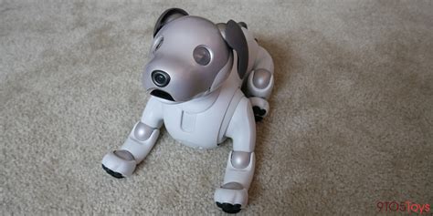 Sony aibo review: a look into the future of home robotics - 9to5Toys