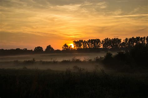 Grass Field during Sunset · Free Stock Photo