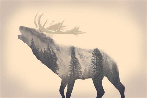 stags, Animals, Long exposure, Forest, Majestic casual (channel), Minimalism, Elk Wallpapers HD ...