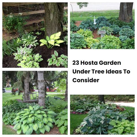 23 Hosta Garden Under Tree Ideas To Consider Sharonsable