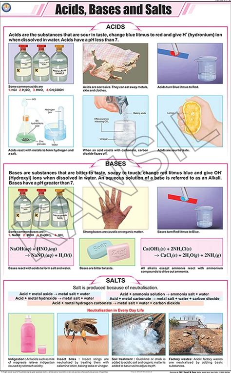 Multicolor Acids Bases And Salts For Chemistry Chart Size 58x90cm