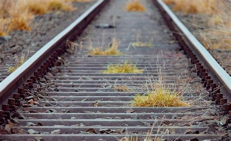 Goods Train Derails In Bilaspur Howrah Mumbai Rail Route Sakshi