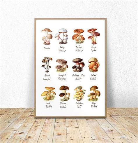 Mushroom Chart Poster Digital Download Printable Instant Etsy Botanical Wall Art Canvas