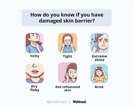 3. How do you know if you have a damaged skin barrier?