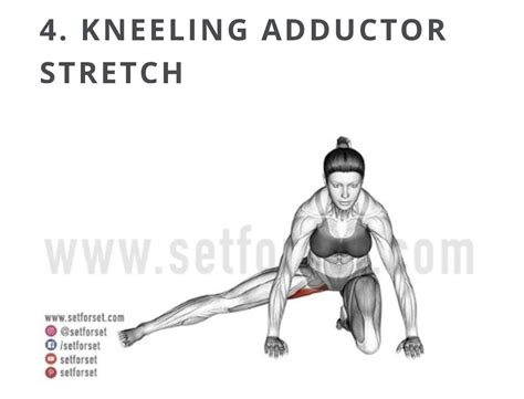 Kneeling Adductor Stretch