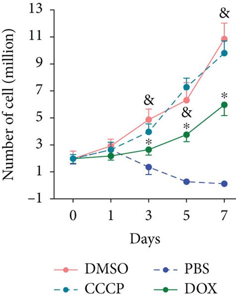 The Roles Of Mitophagy Played In Rosi Induced Nsc Proliferation A