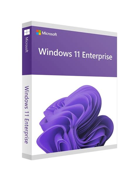 Microsoft Windows 11 Enterprise