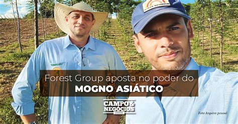 Forest Group aposta no poder do mogno asiático Revista Campo Negócios