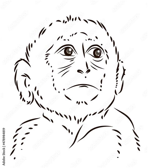 Black and white image of a cute little monkey. Coloring book for kids ...