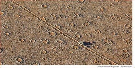 Ai Powered Study Of ‘fairy Circles Discovered In Hundreds Of Sites