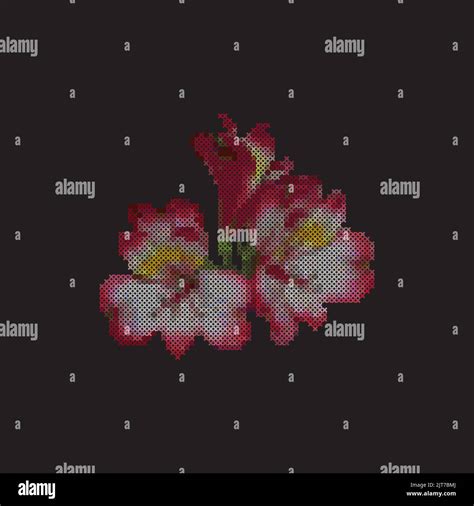 Cross Stitch Alstroemeria Flower Floral Embroidery Pattern Peruvian