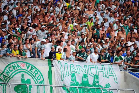 Palmeiras estuda abrir Allianz Parque para transmitir a final Mídia