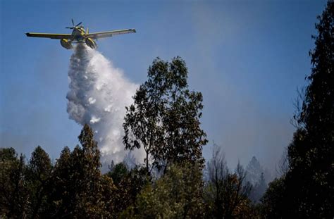 Waldbrände in Portugal 1400 Menschen in Odemira evakuiert Panorama