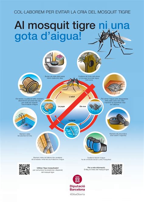 LAjuntament se suma a la campanya de prevenció del mosquit tigre