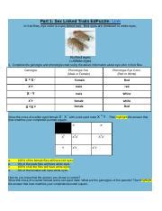 Copy Of Sex Linked Traits And Pedigree Charts Part 1 Sex Linked