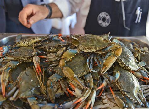 Il Granchio Blu Spopola Al Supermercato Ne Vendiamo 3 Quintali A