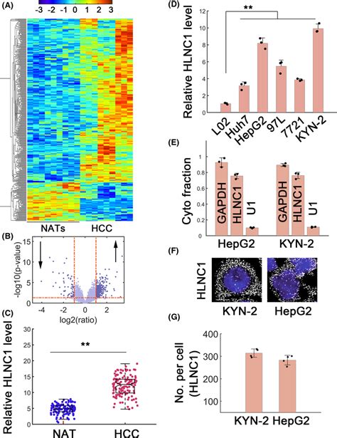 Identifying Hlnc In Hcc A Rnaseq In Normal Adjacent Tissues Nats