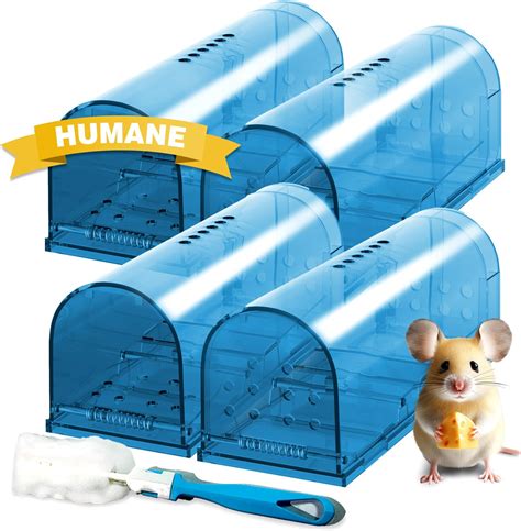 Amazon Qualirey Pcs Humane Mouse Trap Live Rat Trap Mice Cage