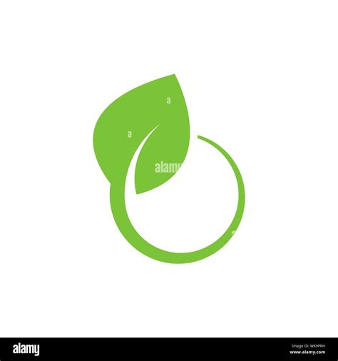 Leaf Graphic Design Template Vector Isolated Illustration Stock Vector