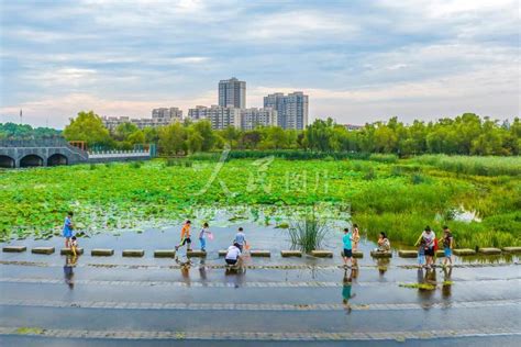 江苏泗洪：生态公园享清凉 人民图片网