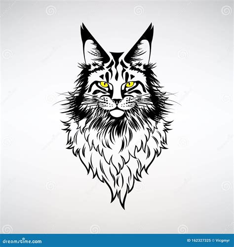 Maine Coon Icon Cartoon Cat Breed Symbol Vector Illustration