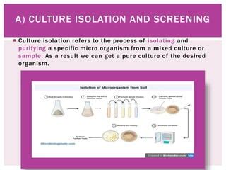 Upstream And Downstream Processing Of Fermentation Pptx