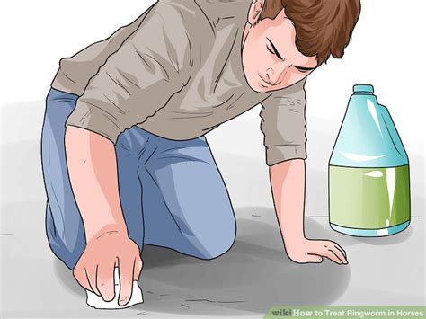 How to Treat Ringworm in Horses: 8 Steps (with Pictures) - wikiHow