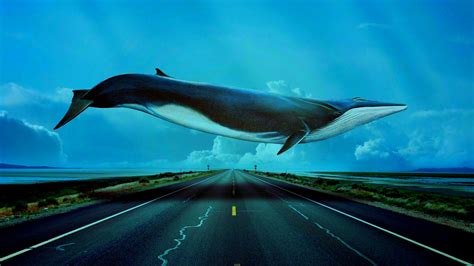 Blue Whale Wallpaper - WallpaperSafari